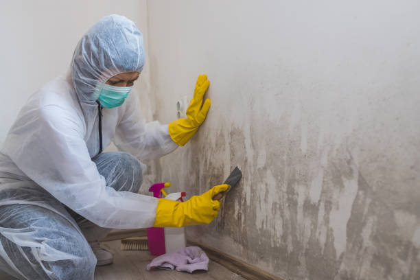 Best Industrial Mold Remediation in Sunnyside, WA