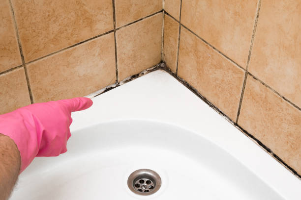 Best Emergency Mold Remediation in Sunnyside, WA